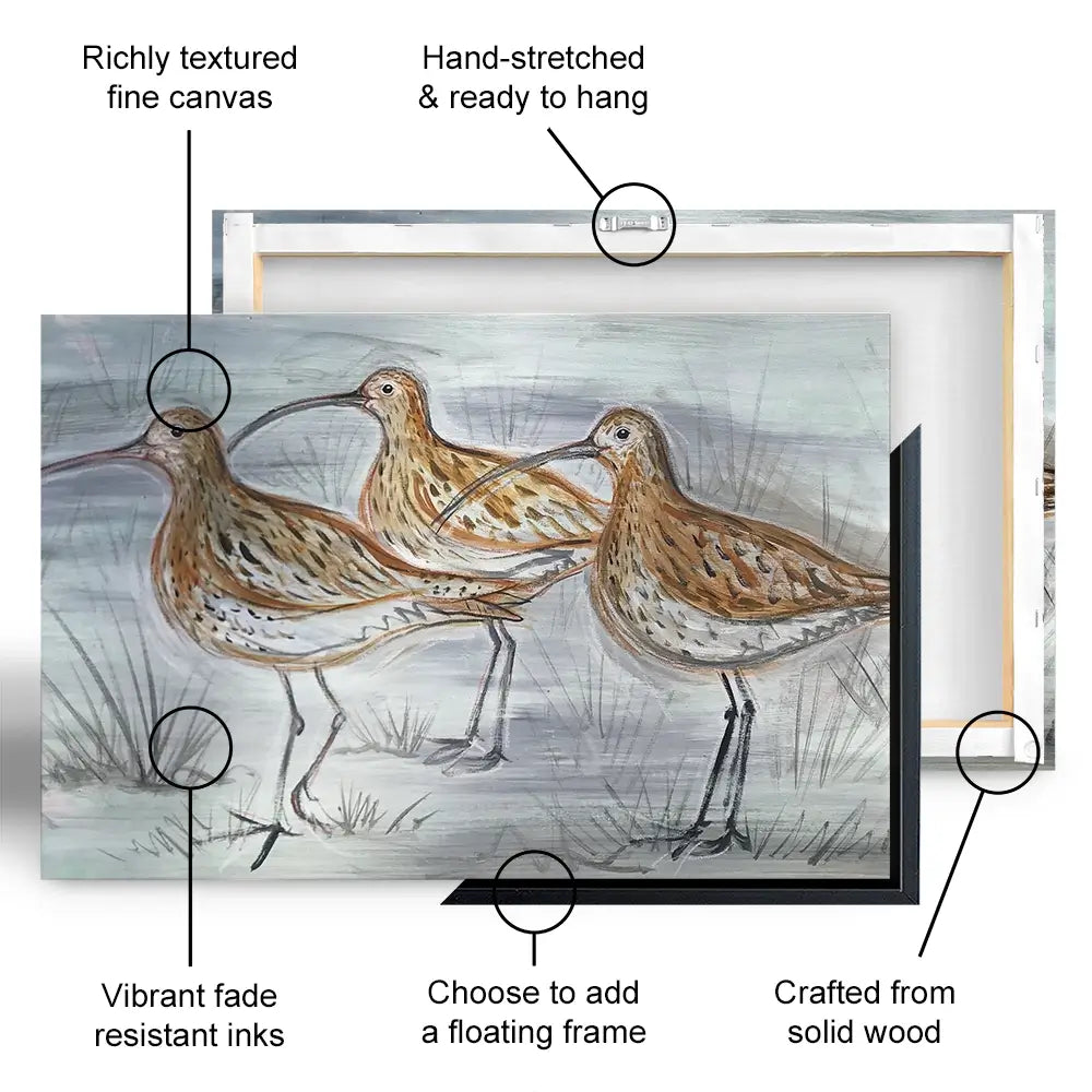 Three Curlews Canvas Print Three Curlews Canvas Print wall art product Jane Brookshaw