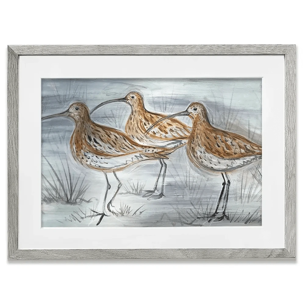 Three Curlews Framed Art Print Three Curlews Framed Art Print wall art product Jane Brookshaw