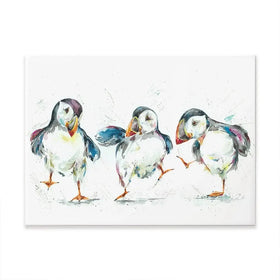 Three Puffins Canvas Print Three Puffins Canvas Print wall art product Nicola Jane Rowles