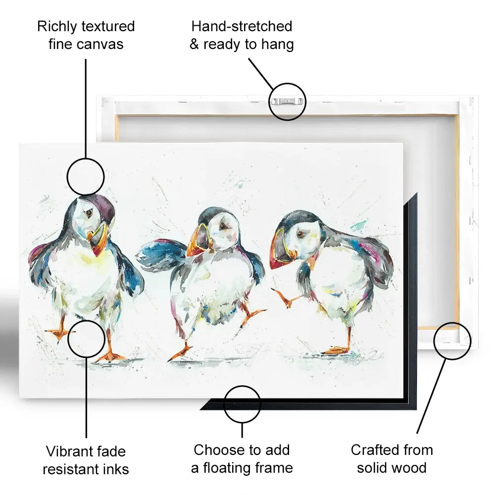 Three Puffins Canvas Print Three Puffins Canvas Print wall art product Nicola Jane Rowles
