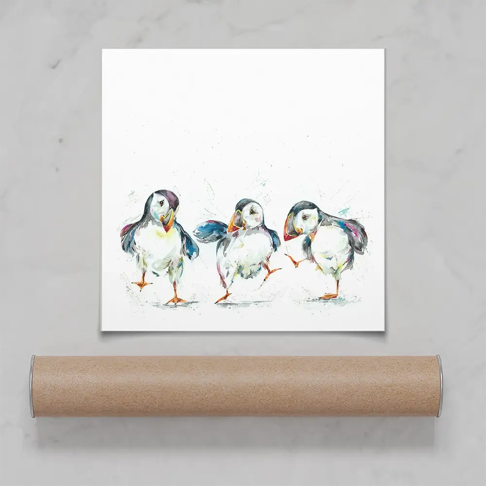 Three Puffins Square Art Print Three Puffins Square Art Print wall art product Nicola Jane Rowles