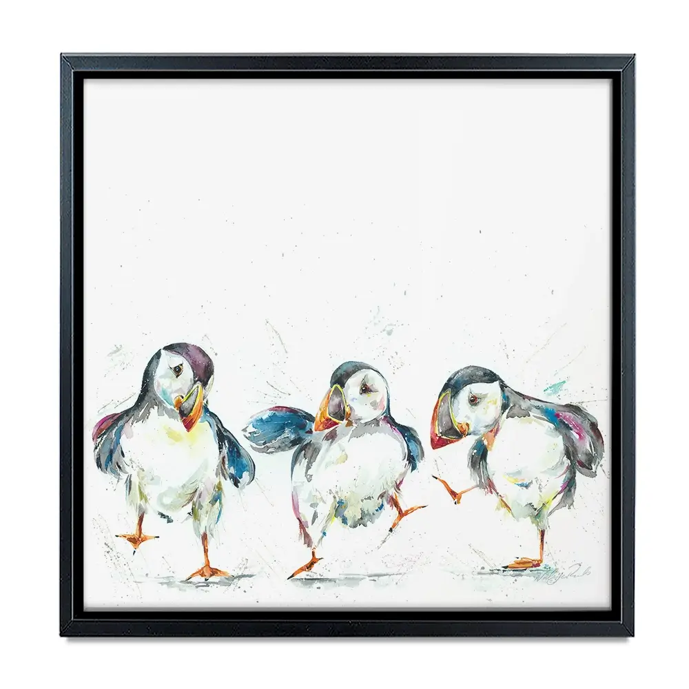 Three Puffins Square Canvas Print Three Puffins Square Canvas Print wall art product Nicola Jane Rowles
