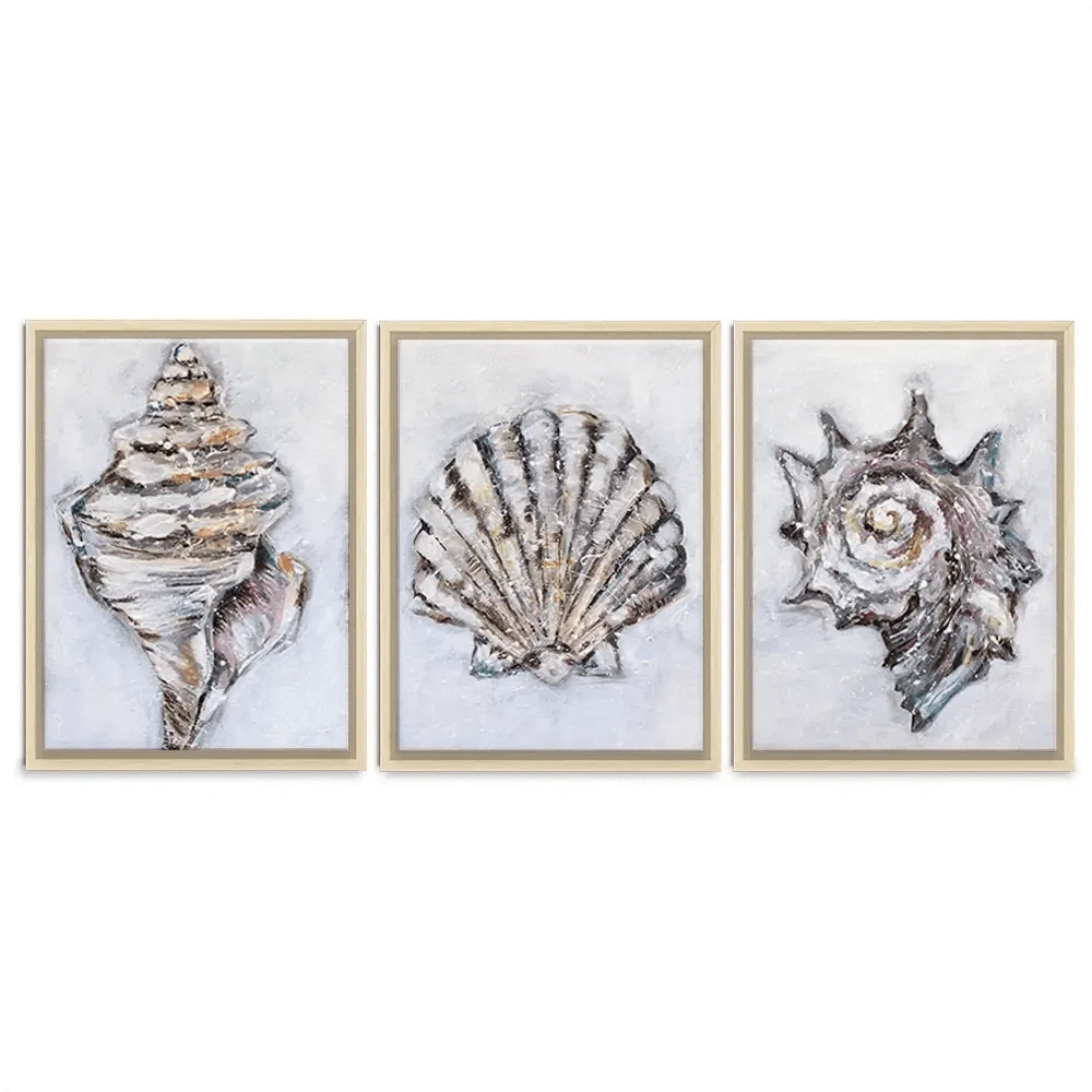 Three Shells Trio Canvas Print Three Shells Trio Canvas Print wall art product Nicola Jane Rowles