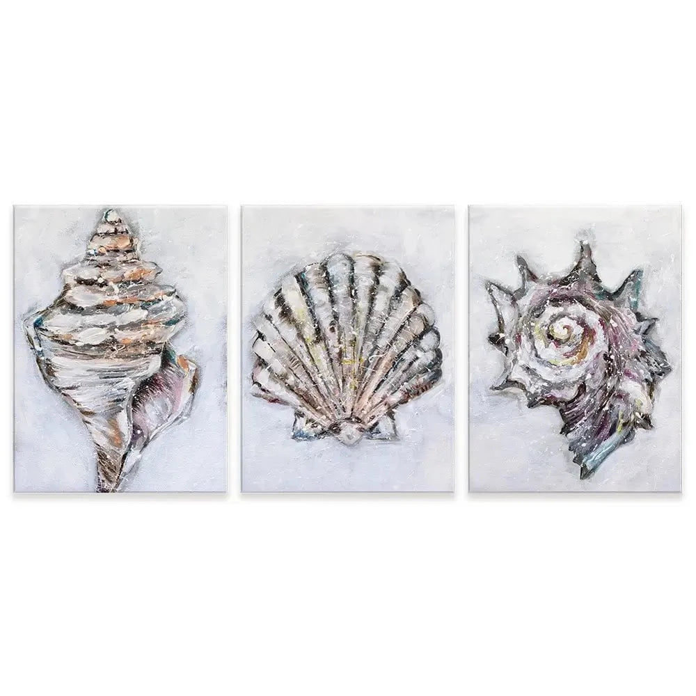 Three Shells Trio Canvas Print Three Shells Trio Canvas Print wall art product Nicola Jane Rowles
