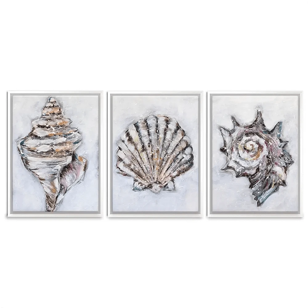 Three Shells Trio Canvas Print Three Shells Trio Canvas Print wall art product Nicola Jane Rowles