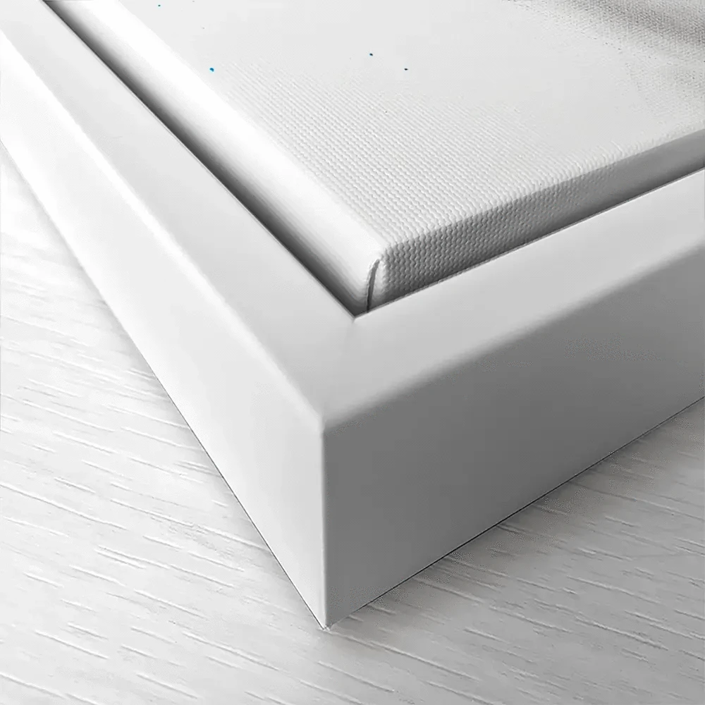 Touched Canvas Print Touched Canvas Print wall art product Ashvin Harrison