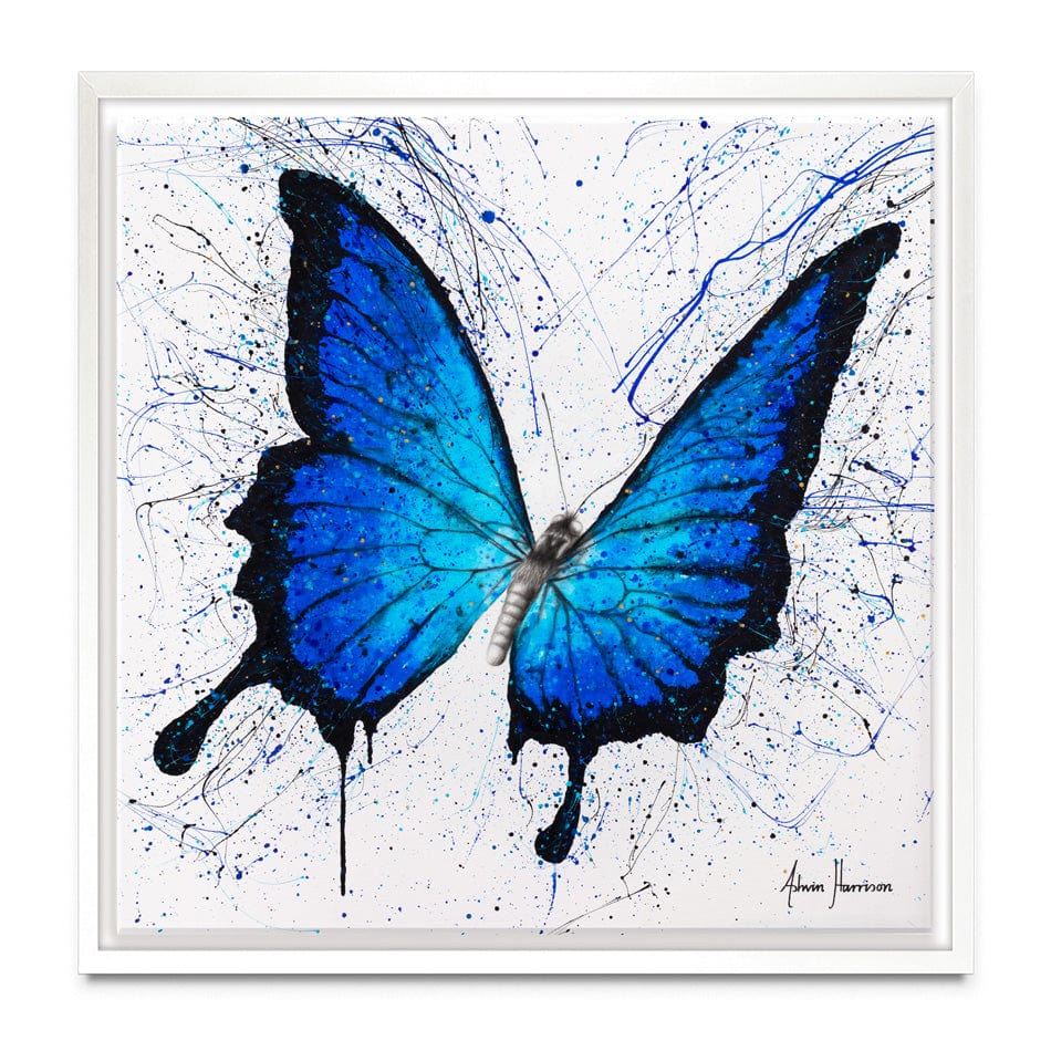 Tropics Of Blue Butterfly Canvas Print wall art product Ashvin Harrison