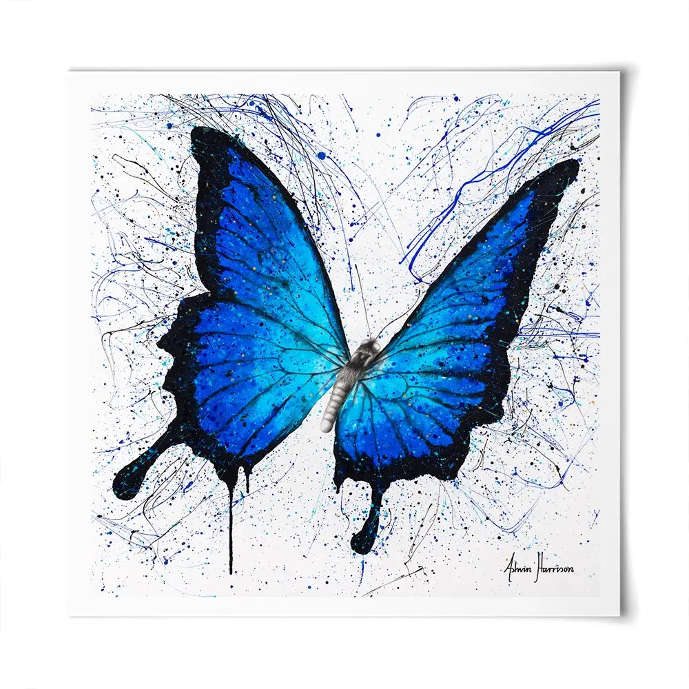 Tropics Of Blue Butterfly Square Art Print Tropics Of Blue Butterfly Square Art Print wall art product Ashvin Harrison