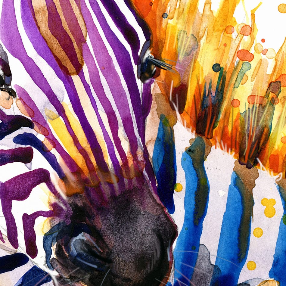 Two Colourful Zebras Art Print wall art product / Shutterstock