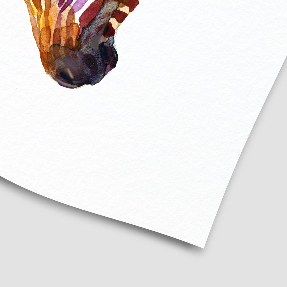 Two Colourful Zebras Art Print wall art product / Shutterstock