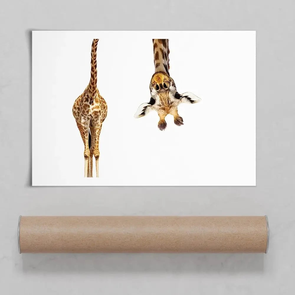 Upside Down Giraffe Art Print Upside Down Giraffe Art Print wall art product Sergey Novikov / Shutterstock