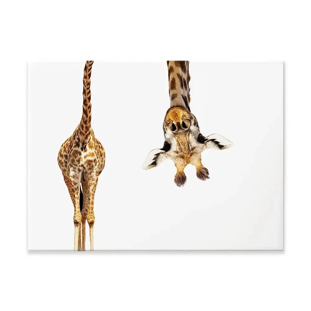 Upside Down Giraffe Canvas Print Upside Down Giraffe Canvas Print wall art product Sergey Novikov / Shutterstock