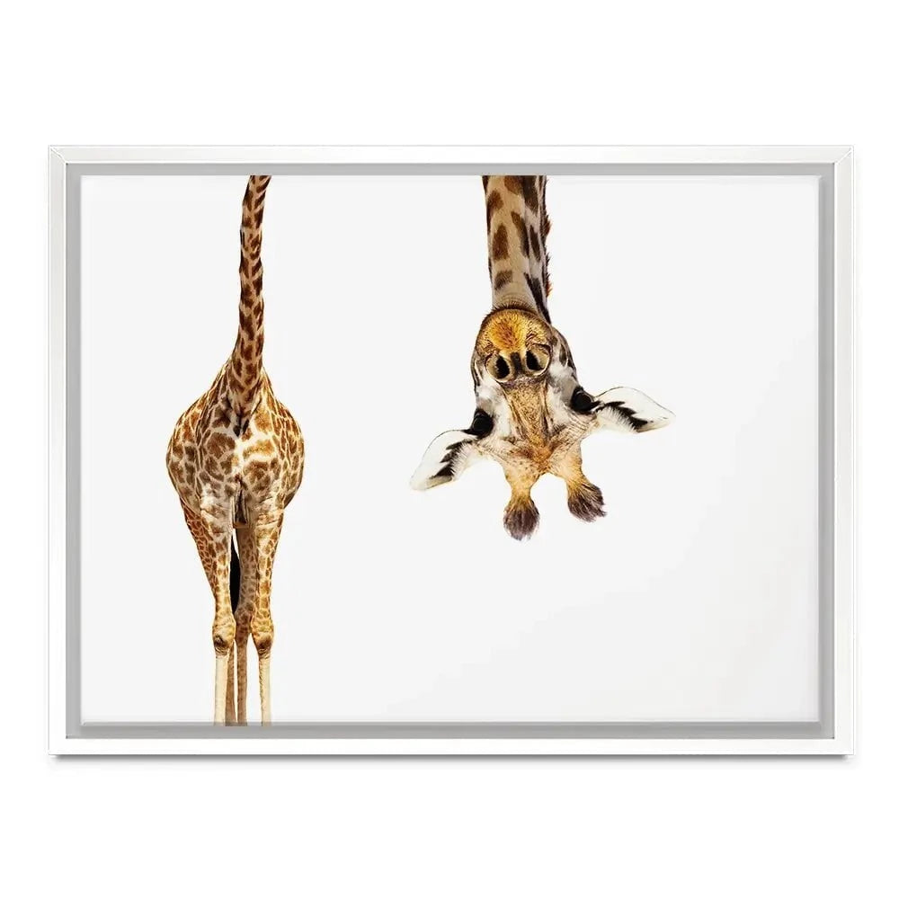 Upside Down Giraffe Canvas Print Upside Down Giraffe Canvas Print wall art product Sergey Novikov / Shutterstock