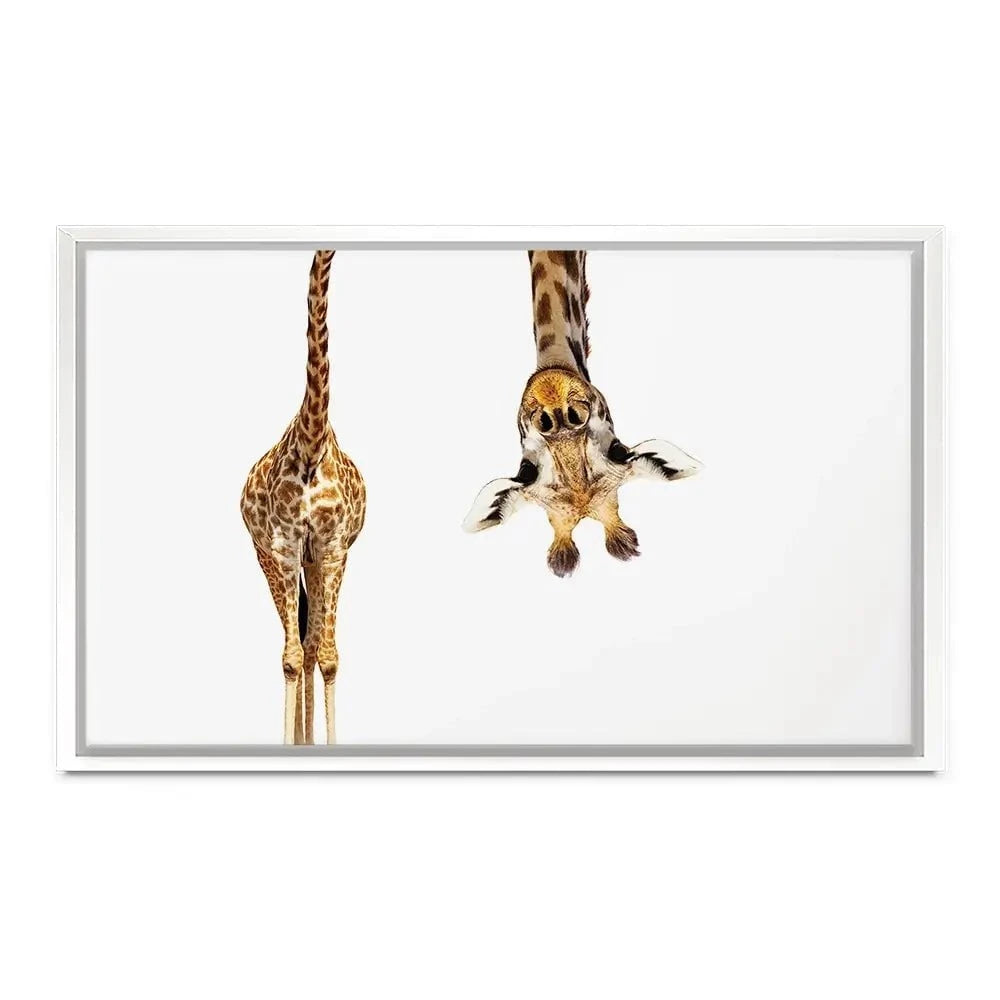 Upside Down Giraffe Canvas Print Upside Down Giraffe Canvas Print wall art product Sergey Novikov / Shutterstock