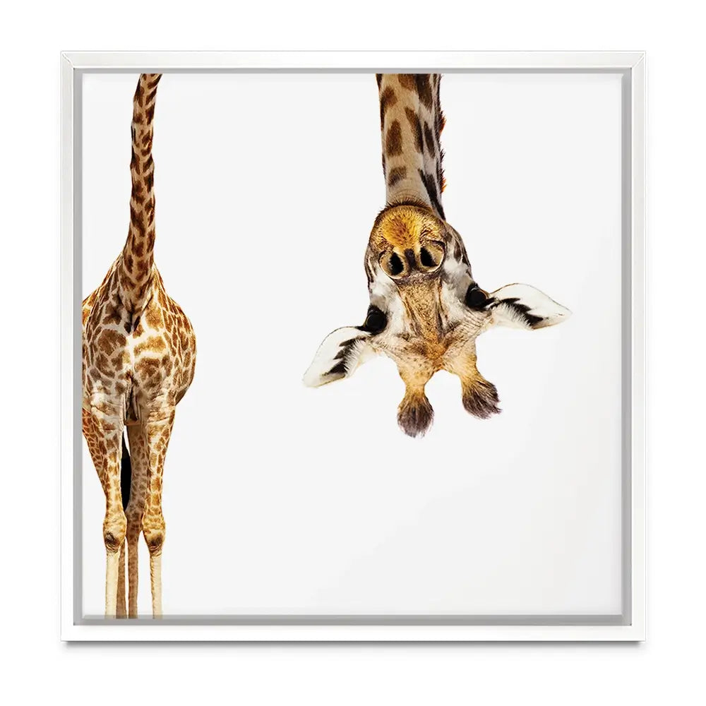Upside Down Giraffe Oversized Canvas Print Upside Down Giraffe Oversized Canvas Print wall art product Art Print Shop