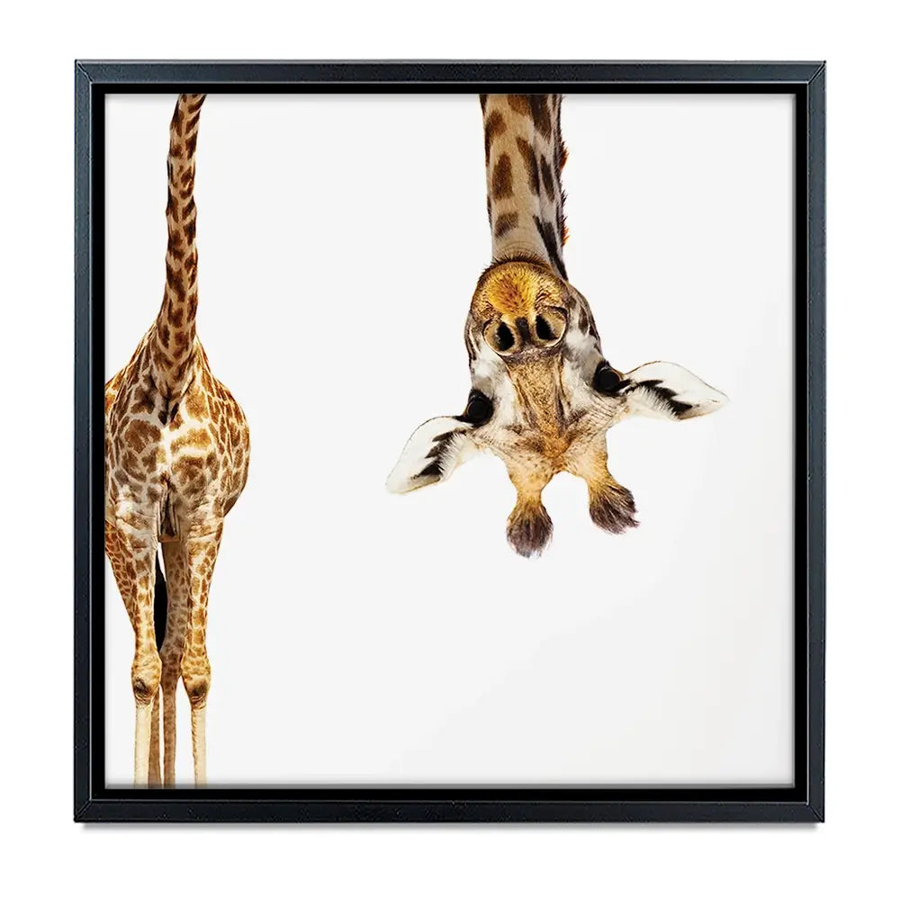 Upside Down Giraffe Oversized Canvas Print Upside Down Giraffe Oversized Canvas Print wall art product Art Print Shop