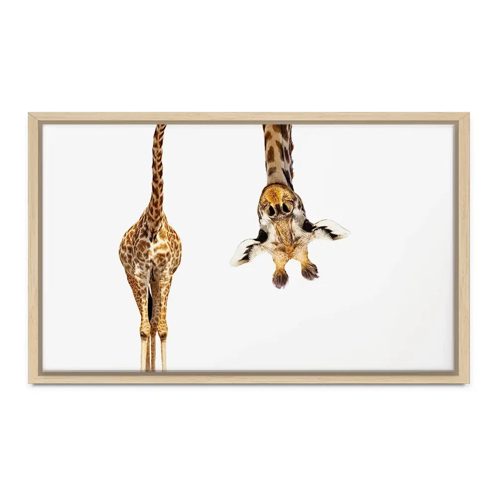 Upside Down Giraffe Oversized Canvas Print Upside Down Giraffe Oversized Canvas Print wall art product Art Print Shop