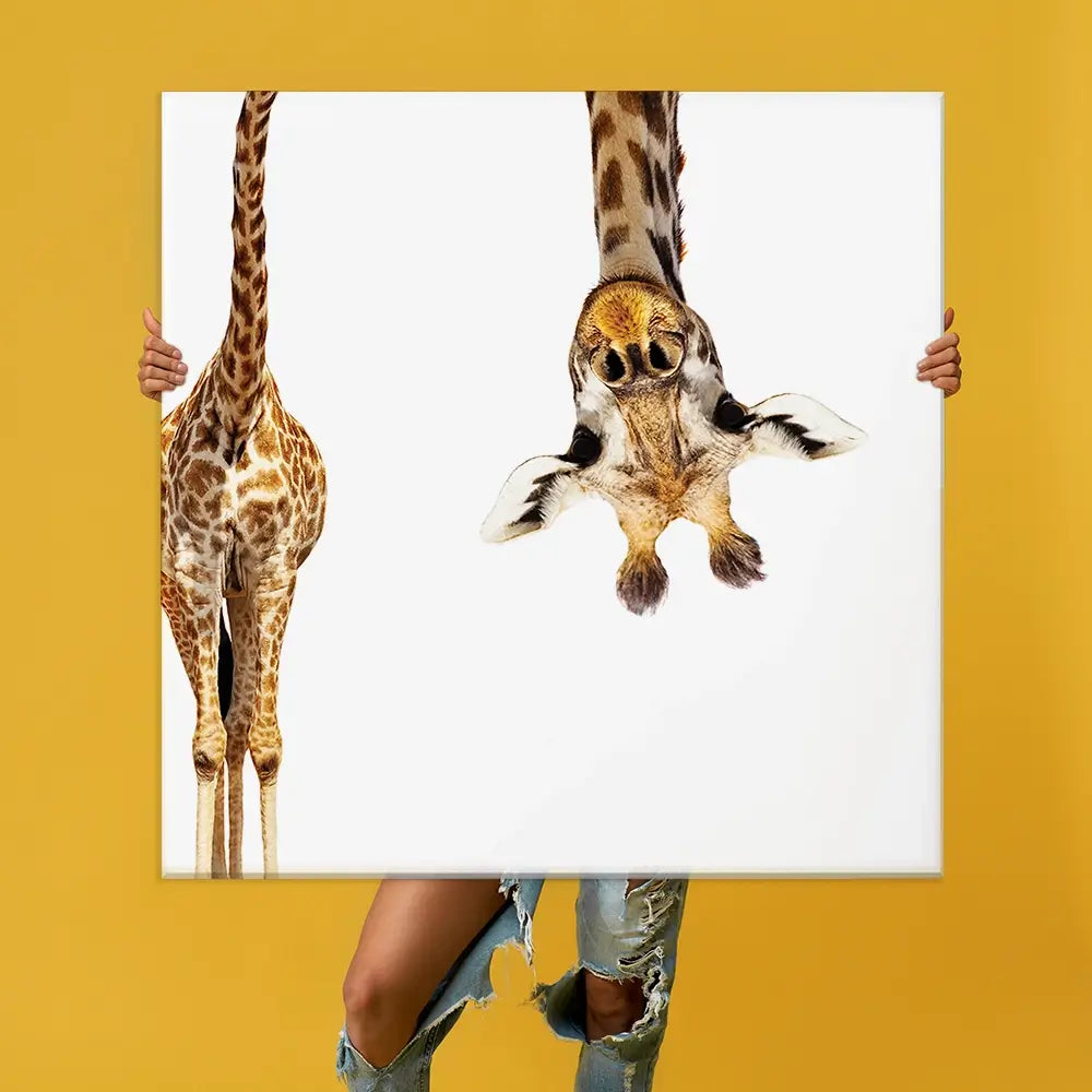 Upside Down Giraffe Oversized Canvas Print Upside Down Giraffe Oversized Canvas Print wall art product Art Print Shop