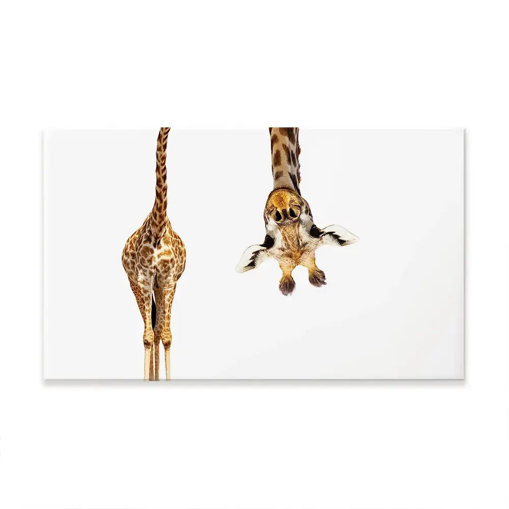 Upside Down Giraffe Oversized Canvas Print Upside Down Giraffe Oversized Canvas Print wall art product Art Print Shop