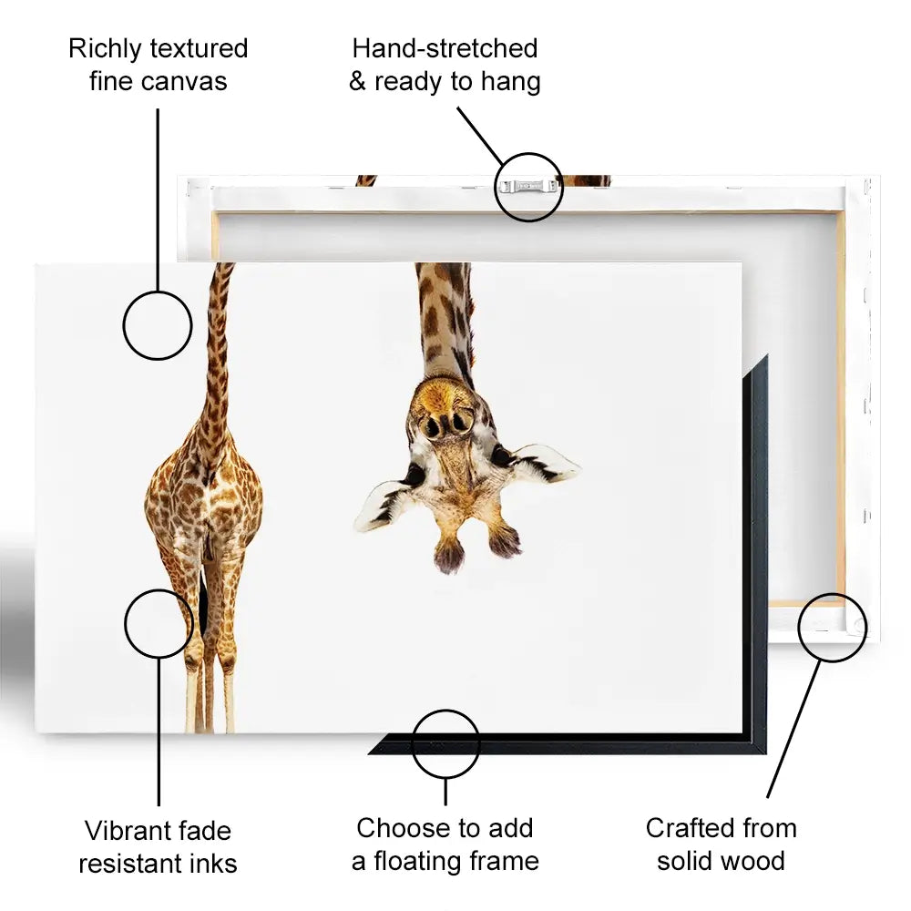 Upside Down Giraffe Oversized Canvas Print Upside Down Giraffe Oversized Canvas Print wall art product Sergey Novikov / Shutterstock