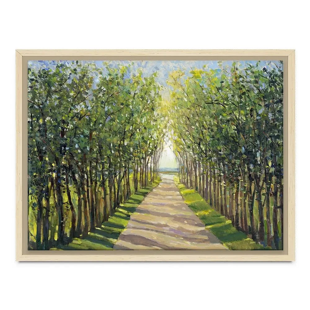 Walking Trail Canvas Print Walking Trail Canvas Print wall art product Tim O'Toole
