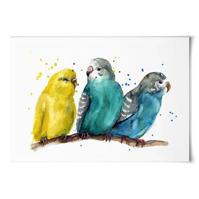 Watercolour Budgies Art Print Watercolour Budgies Art Print wall art product Tatyana Komtsyan / Shutterstock