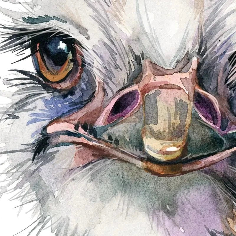 Watercolour Ostrich Art Print Watercolour Ostrich Art Print wall art product Faenkova Elena / Shutterstock