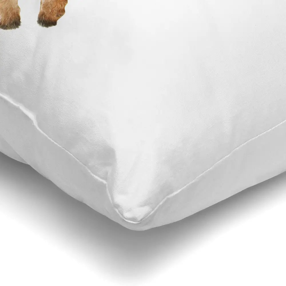 Well Hello There Cushion Well Hello There Cushion wall art product Lukiyanova Natalia frenta / Shutterstock