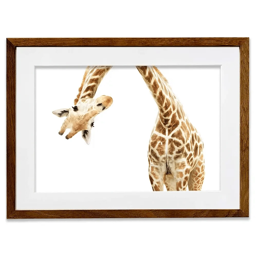 Well Hello There Framed Art Print Well Hello There Framed Art Print wall art product Lukiyanova Natalia frenta / Shutterstock