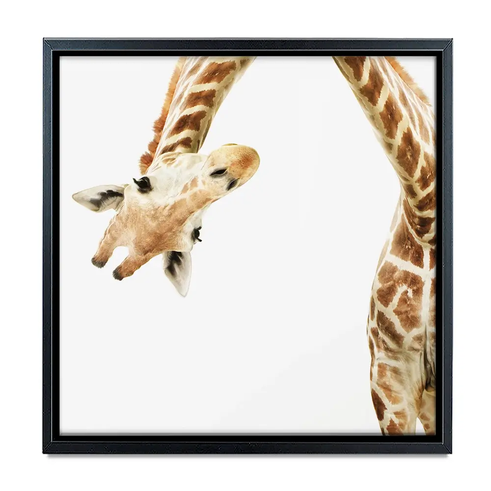 Well Hello There Square Canvas Print Well Hello There Square Canvas Print wall art product Lukiyanova Natalia frenta / Shutterstock