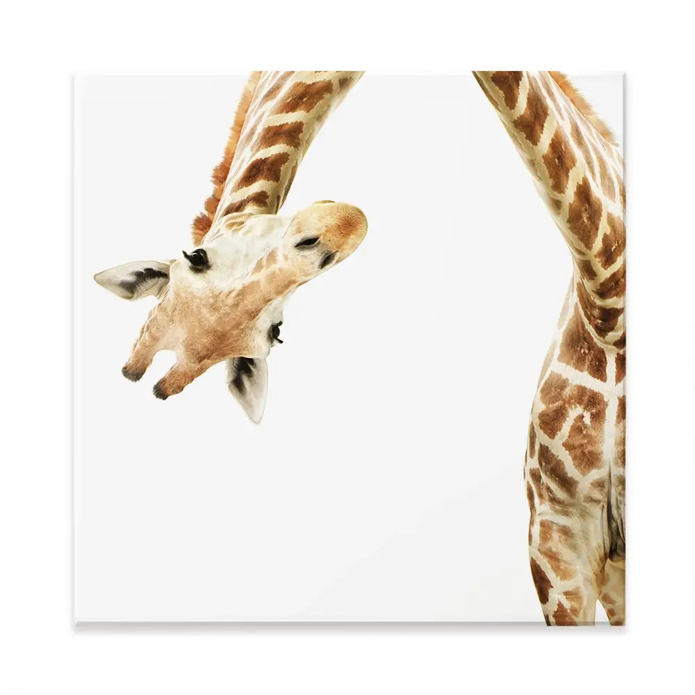 Well Hello There Square Canvas Print Well Hello There Square Canvas Print wall art product Lukiyanova Natalia frenta / Shutterstock