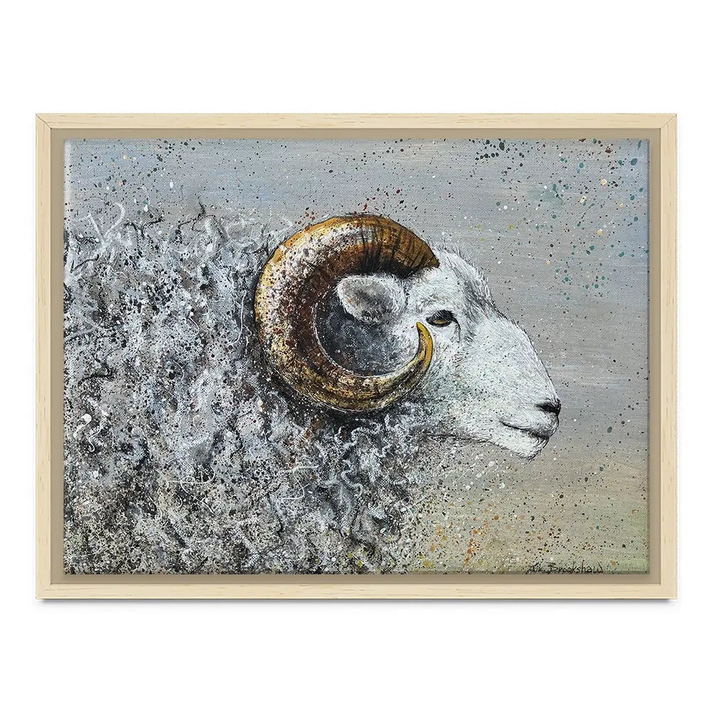 Welsh Mountain Sheep Canvas Print Welsh Mountain Sheep Canvas Print wall art product Jane Brookshaw