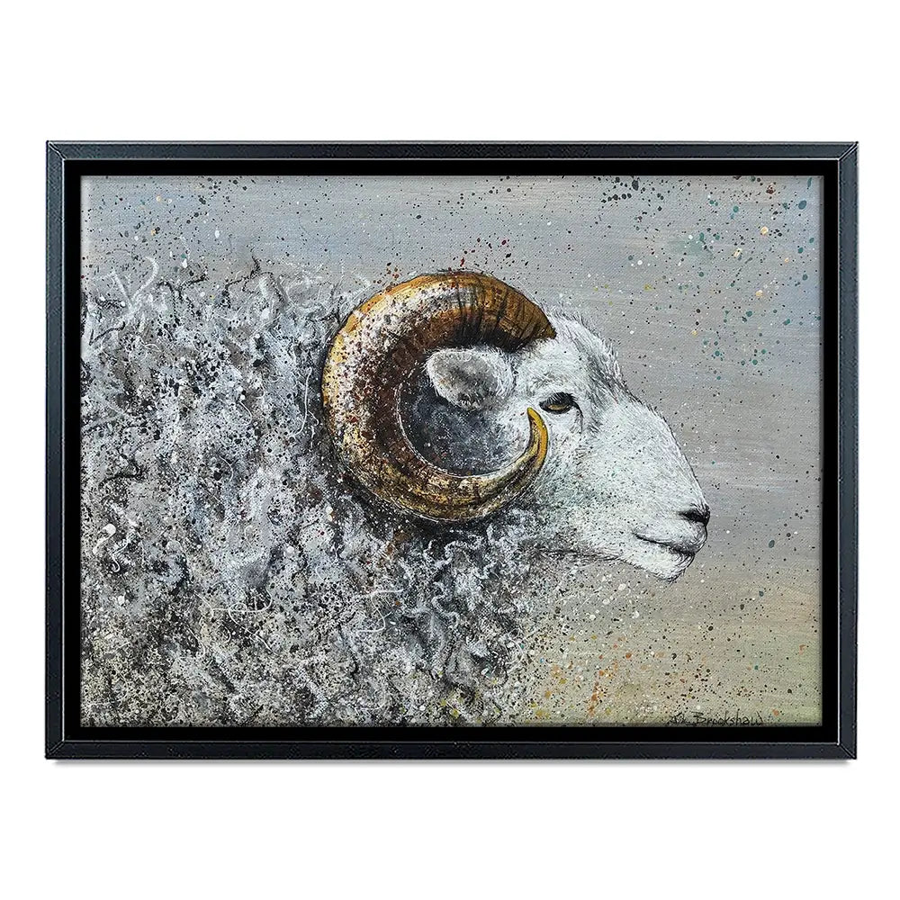 Welsh Mountain Sheep Canvas Print Welsh Mountain Sheep Canvas Print wall art product Jane Brookshaw
