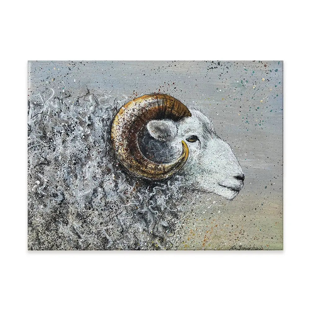 Welsh Mountain Sheep Canvas Print Welsh Mountain Sheep Canvas Print wall art product Jane Brookshaw