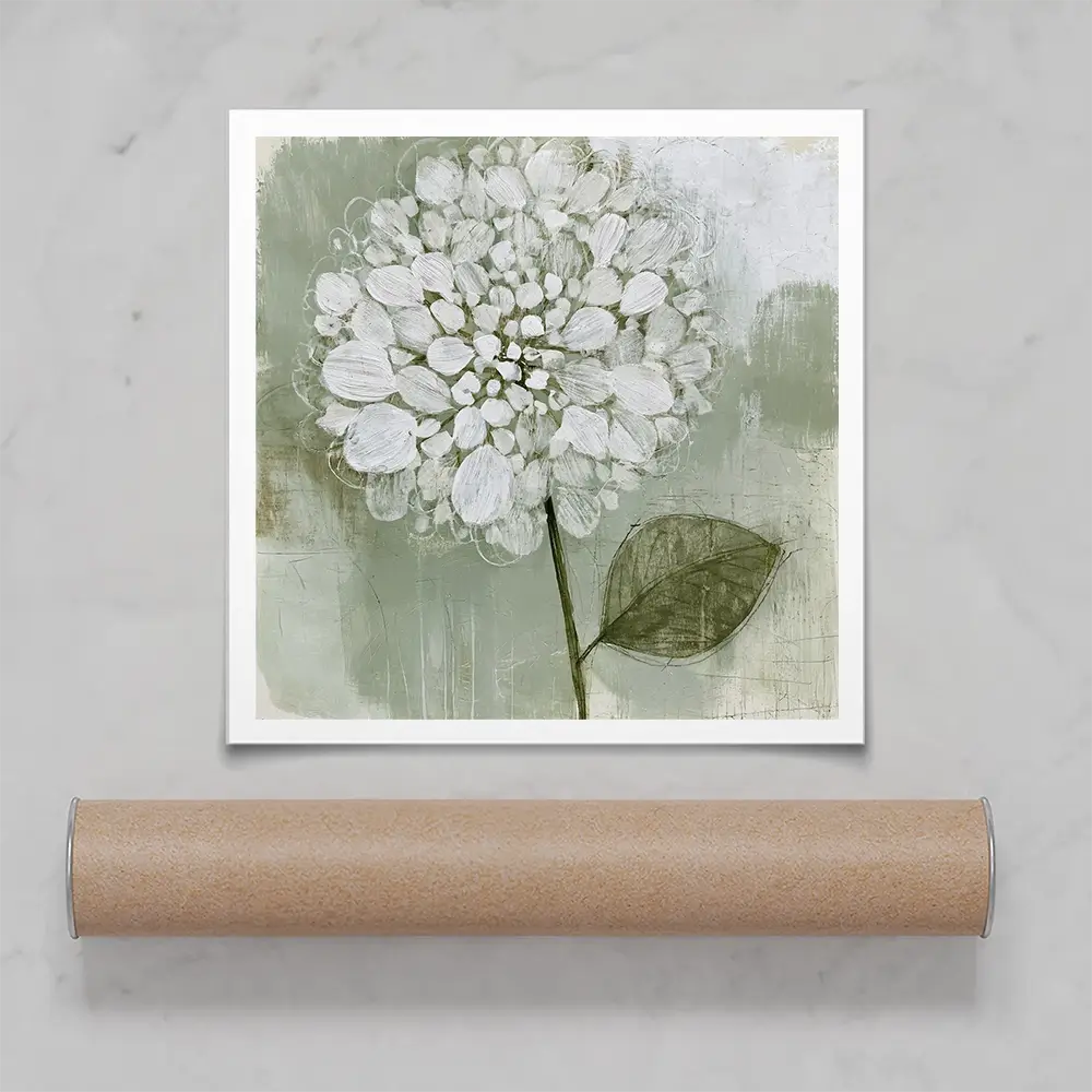 White Dahlia On Sage Square Art Print White Dahlia On Sage Square Art Print wall art product Chromatic Storm Studio