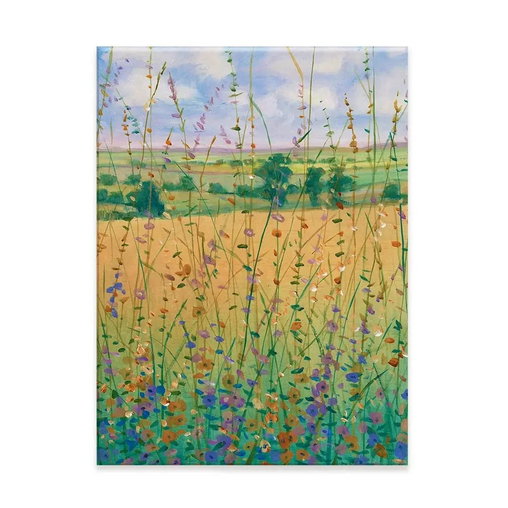 Wildflower Path Canvas Print Wildflower Path Canvas Print wall art product Tim O'Toole