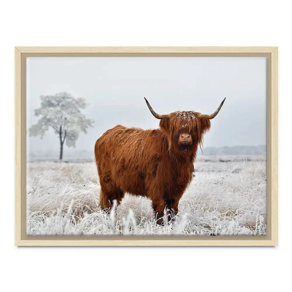Winter Cow Canvas Print Winter Cow Canvas Print wall art product defotoberg / Shutterstock