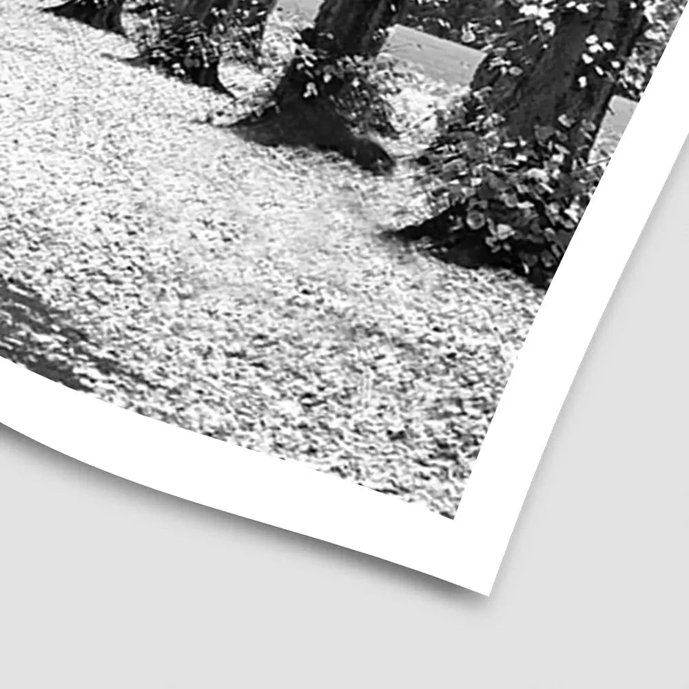 Winters Walk Art Print Winters Walk Art Print wall art product Aimee Linzi