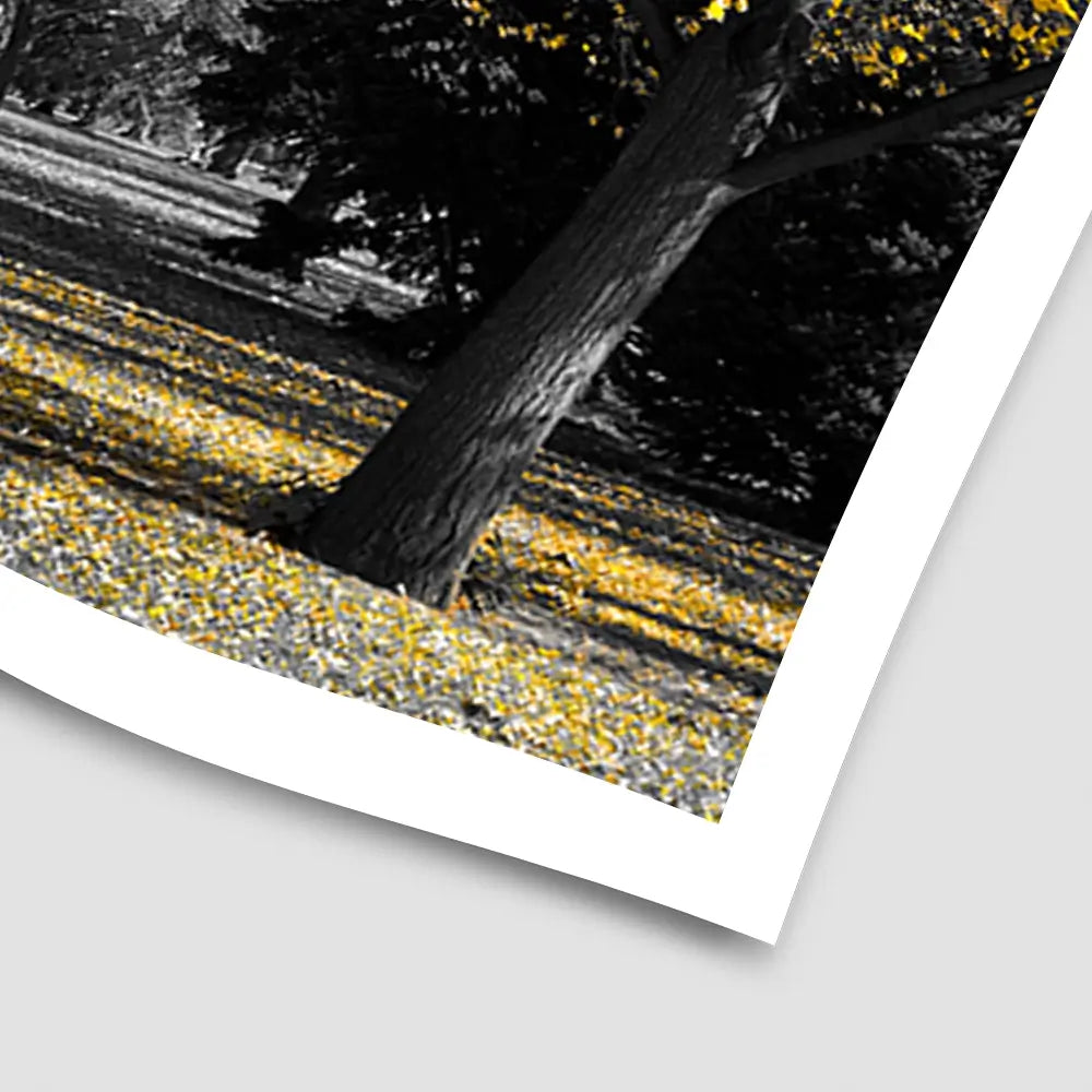 Yellow Blossom Trees Art Print Yellow Blossom Trees Art Print wall art product Ryan DeBerardinis / Shutterstock
