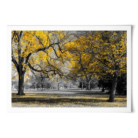 Yellow Blossom Trees Art Print Yellow Blossom Trees Art Print wall art product Ryan DeBerardinis / Shutterstock