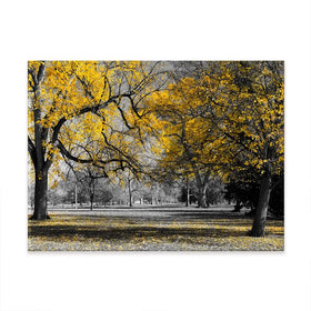 Yellow Blossom Trees Canvas Print Yellow Blossom Trees Canvas Print wall art product Ryan DeBerardinis / Shutterstock