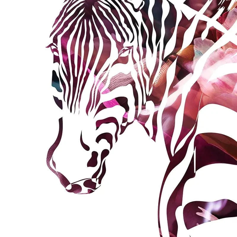 Zebra On White Framed Art Print Zebra On White Framed Art Print wall art product Sarah Manovski