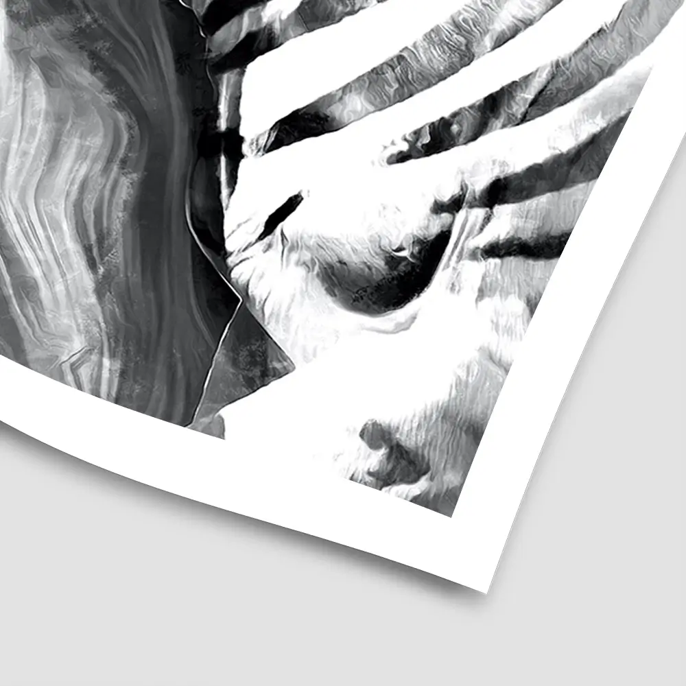Zebra Square Art Print Zebra Square Art Print wall art product Mohammadreza Zeidabadi / Shutterstock