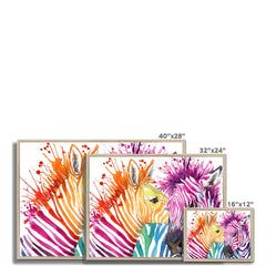 Watercolour Zebra Framed Print
