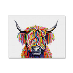White Highland Cow Canvas Print