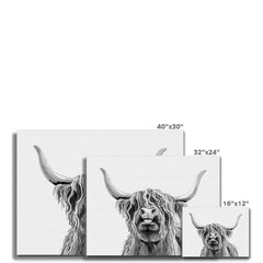 Cheeky Black And White Highland Cow Canvas Print