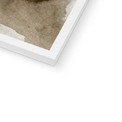 Trios Of Cows Framed Print