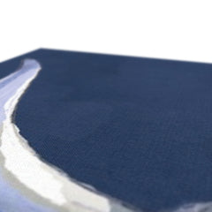 Cheeky Coo In Navy Blue Canvas Print