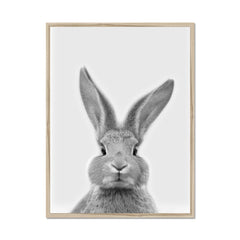 Bunny Rabbit Portrait Framed Print