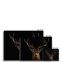 Deer Canvas Print